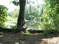 french river from hodges dam to webster aug 6 06 - pitstop